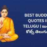 242+ Best Buddha Quotes In Telugu | బుద్ధుడి కోట్స్ తెలుగులో